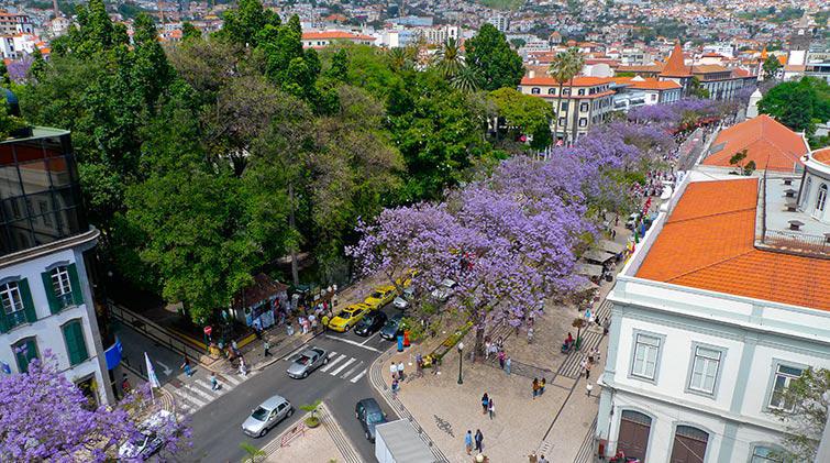 Hotel Do Centro Funchal  Exteriér fotografie